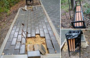 Вандализм в Кишинёве: Рышкановский лесопарк пострадал в ночь на 12 сентября