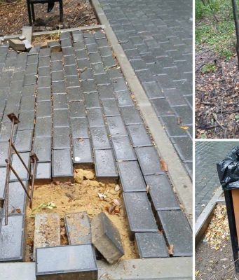 Вандализм в Кишинёве: Рышкановский лесопарк пострадал в ночь на 12 сентября