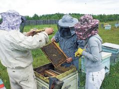 Молдавские пчеловоды ждут помощи