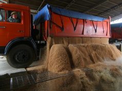 Экспорт молдавской пшеницы достиг максимума за последние четыре года