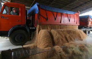 Экспорт молдавской пшеницы достиг максимума за последние четыре года