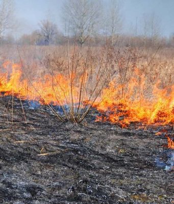 В Молдове наложили штрафы на 1,25 млн леев за поджог сухостоя и мусора с начала года