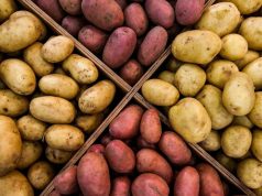 Молдове картофель на прилавках в основном импортный