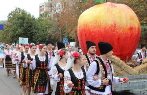 Фестиваль яблок в Сороках переносится из-за непогоды