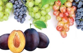 Дожди угрожают урожаю винограда и сливы в Молдове