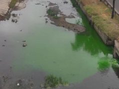 Река Бык окрасилась в зелёный цвет: Termoelectrica уверяет, что опасности нет