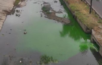 Река Бык окрасилась в зелёный цвет: Termoelectrica уверяет, что опасности нет