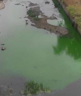 Река Бык окрасилась в зелёный цвет: Termoelectrica уверяет, что опасности нет