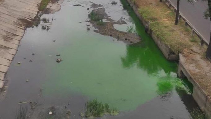 IMG_20251025_131919_166