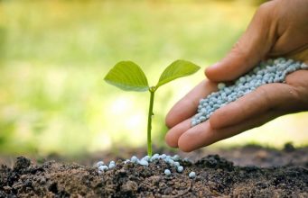 Россия — главный поставщик удобрений для Молдовы