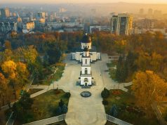 Осенняя кампания по озеленению Кишинёва набирает обороты