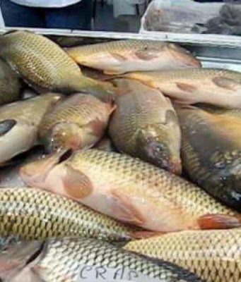 Молдова импортирует почти 70% потребляемой рыбы