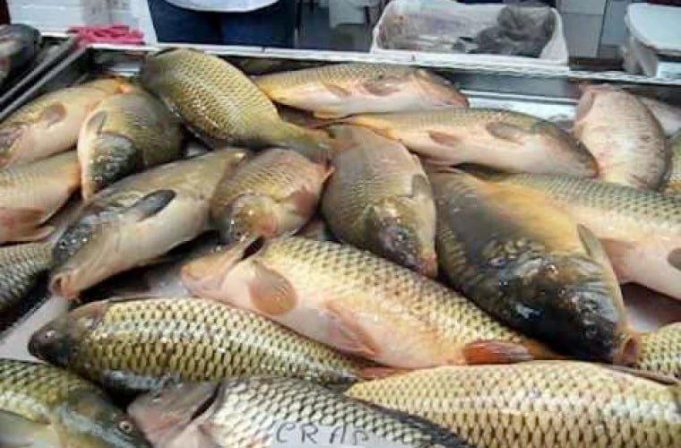 IMG_20251029_234620_638