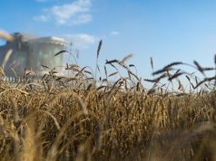 Молдова теряет статус аграрной страны