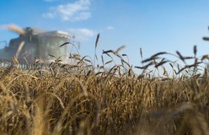 Молдова теряет статус аграрной страны