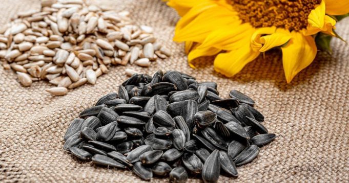 photo_2025-10-01_22-58-27