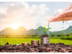 Молдавские фермеры смогут подавать заявки на постинвестиционные субсидии