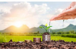 Молдавские фермеры смогут подавать заявки на постинвестиционные субсидии