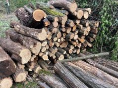 В Молдове готовятся к зиме: дрова становятся роскошью