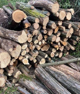 В Молдове готовятся к зиме: дрова становятся роскошью