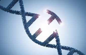 Учёные уже работают над созданием генетически модифицированных детей