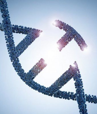 Учёные уже работают над созданием генетически модифицированных детей