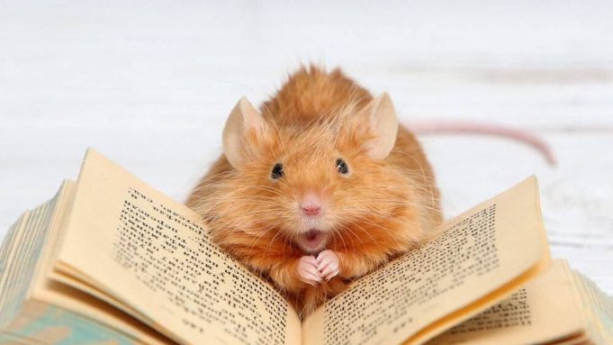 IMG_20251124_143914_233