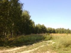 В Кагульском и Вулканештском районах создадут лесозащитные полосы