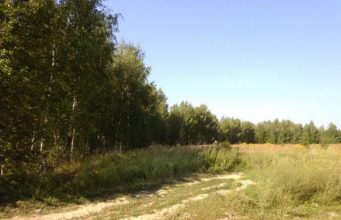 В Кагульском и Вулканештском районах создадут лесозащитные полосы