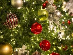 В Молдове растёт спрос на рождественские ёлки