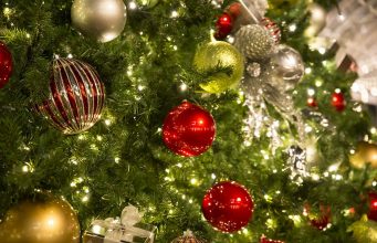 В Молдове растёт спрос на рождественские ёлки