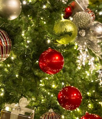 В Молдове растёт спрос на рождественские ёлки