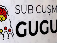 Шесть команд Гагаузии вышли в финал интеллектуального чемпионата