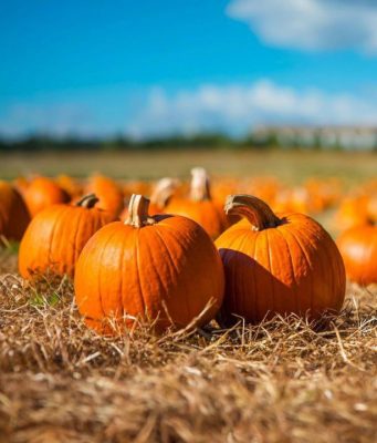 В Гагаузии отметили Тыквенный Спас — праздник солнечного урожая