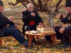 Осень в Гагаузии: вкус урожая и тепло традиций