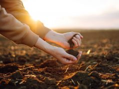 Учёные выявили «память» земли