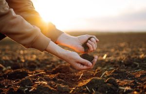 Учёные выявили «память» земли