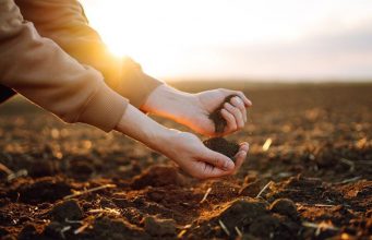 Учёные выявили «память» земли