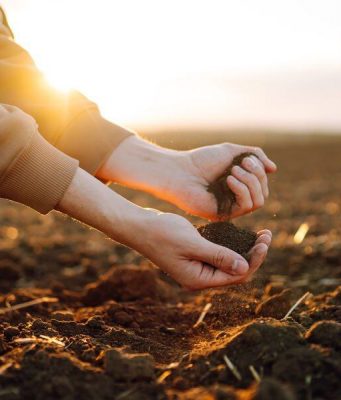 Учёные выявили «память» земли