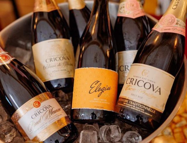 IMG_20251203_225234_601