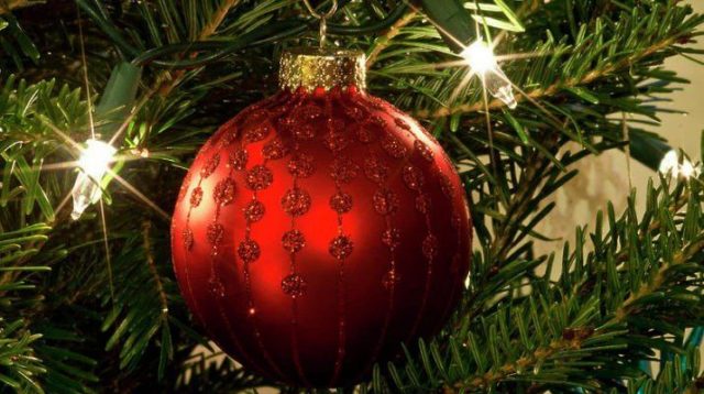 IMG_20251207_173249_664