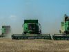 Аграрии Молдовы получили 657 млн леев льготных кредитов и грантов