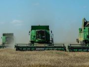 Аграрии Молдовы получили 657 млн леев льготных кредитов и грантов