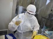 ANSP предупредило о риске вируса Западного Нила на фоне вспышки в Европе