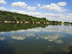 Уровень воды в Днестре упал на 68 сантиметров за 20 дней