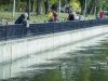 В столичных водоёмах выпустят 1,5 тонны молодой рыбы