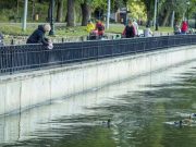 В столичных водоёмах выпустят 1,5 тонны молодой рыбы