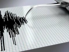 В Японии по ошибке объявили тревогу о землетрясении магнитудой 9,9. Через восемь минут предупреждение отменили.